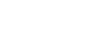 The Nitsche Group